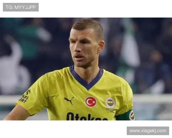 费内巴切球员扬达什因涉嫌赌球出庭 费内巴切球员扬达什因涉嫌赌球出庭